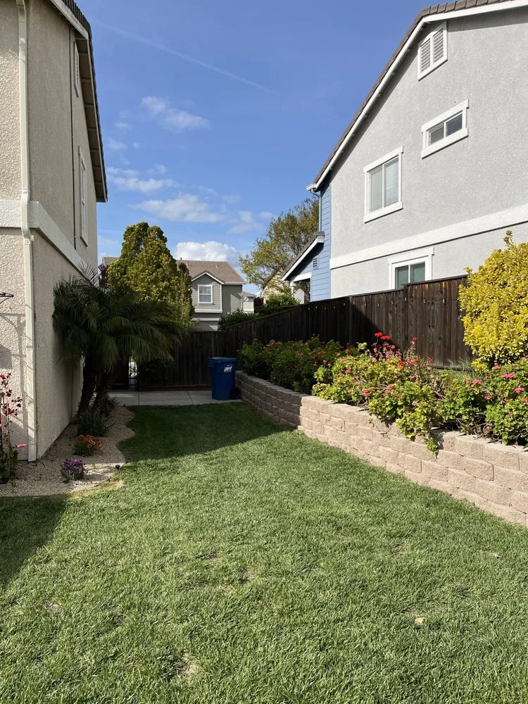 Custom landscape design in Fairfield, CA - Don Landscaping