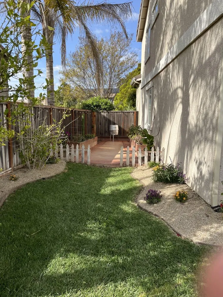 Affordable yard maintenance for year-round maintenance in Fairfield, CA by Don Landscaping