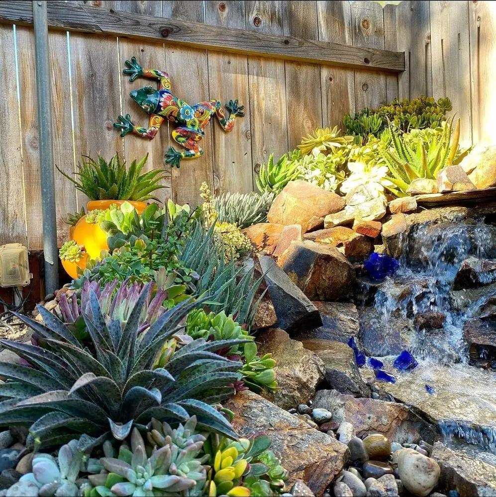 Reliable garden landscaping in Fairfield, CA - Don Landscaping