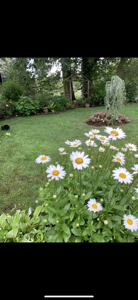 Custom yard maintenance near you across City of Orange, NJ - Don Leo General Construction & Landscaping