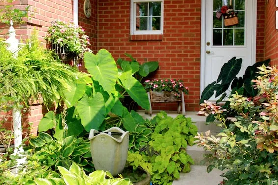 Expert lawn mowing service with custom design across Florence, KY - Don Maddox Lawn Care