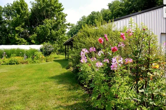 Trusted outdoor landscaping with custom design in Florence, KY by Don Maddox Lawn Care