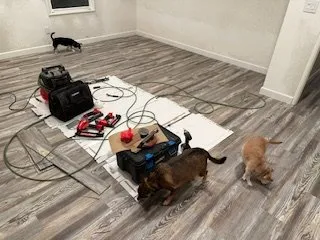 Professional landscaping services in Pittsburg, CA by Don Miguel