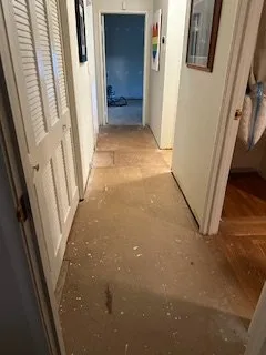 Top-rated yard cleanup service for residential properties across Pittsburg, CA - Don Miguel