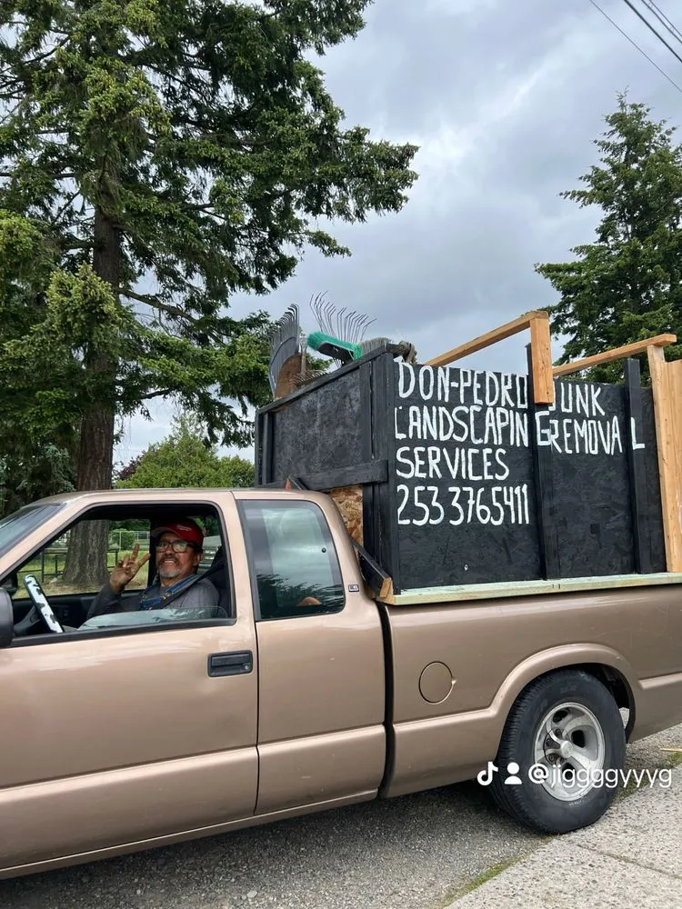 Reliable yard cleanup service experts serving Tacoma, WA - Don Pedro Landscaping