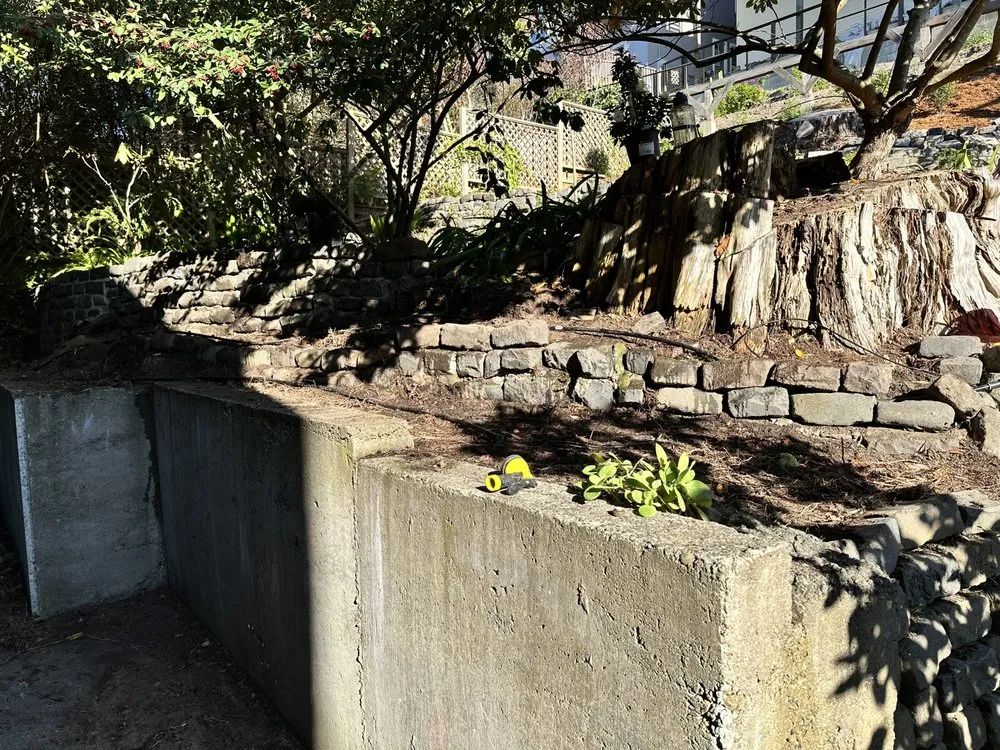 Expert yard maintenance near you across Oakland, CA - Don Ricardo Landscaping & Maintenance