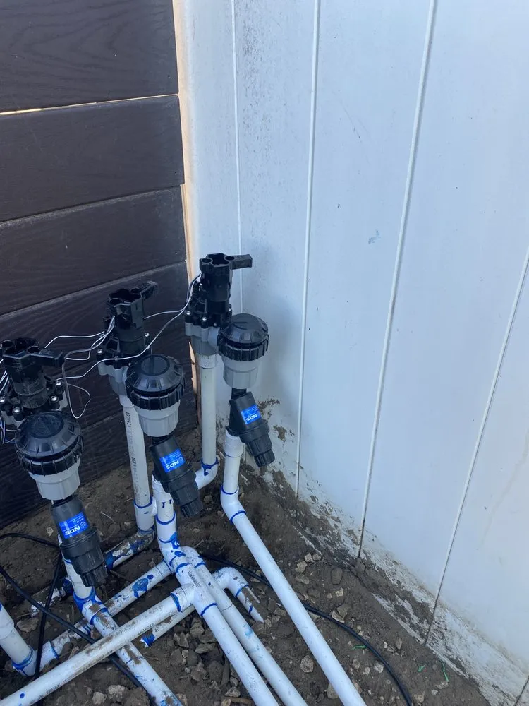 Affordable yard cleanup service experts serving Simi Valley, CA - Don Spratt Landscape