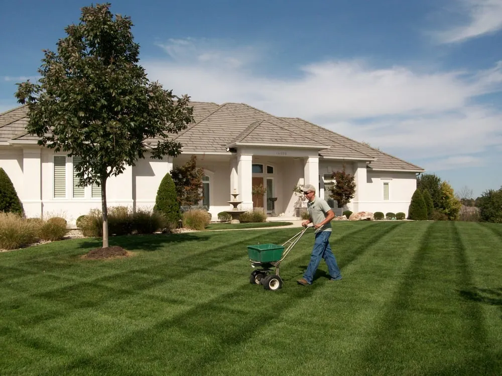 Top-rated lawn care service experts serving Yucaipa, CA - Don Tiss Lawn and Landscape Service