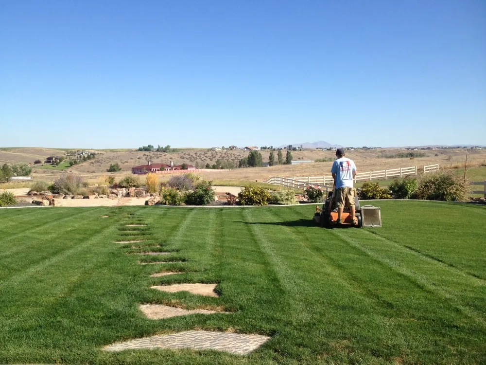 Custom landscape installation for year-round maintenance in Yucaipa, CA by Don Tiss Lawn and Landscape Service