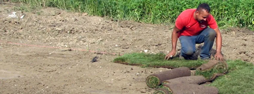 Top-rated landscape installation experts serving Des Moines, IA - Don White & Son Sodding Contractors