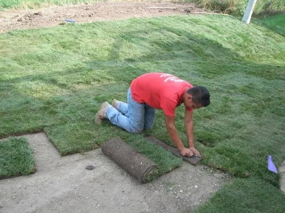 Professional yard maintenance in Des Moines, IA - Don White & Son Sodding Contractors