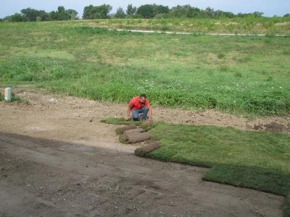 Trusted landscaping services for year-round maintenance in Des Moines, IA by Don White & Son Sodding Contractors