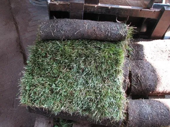 Professional landscape design near you in Des Moines, IA by Don White & Son Sodding Contractors