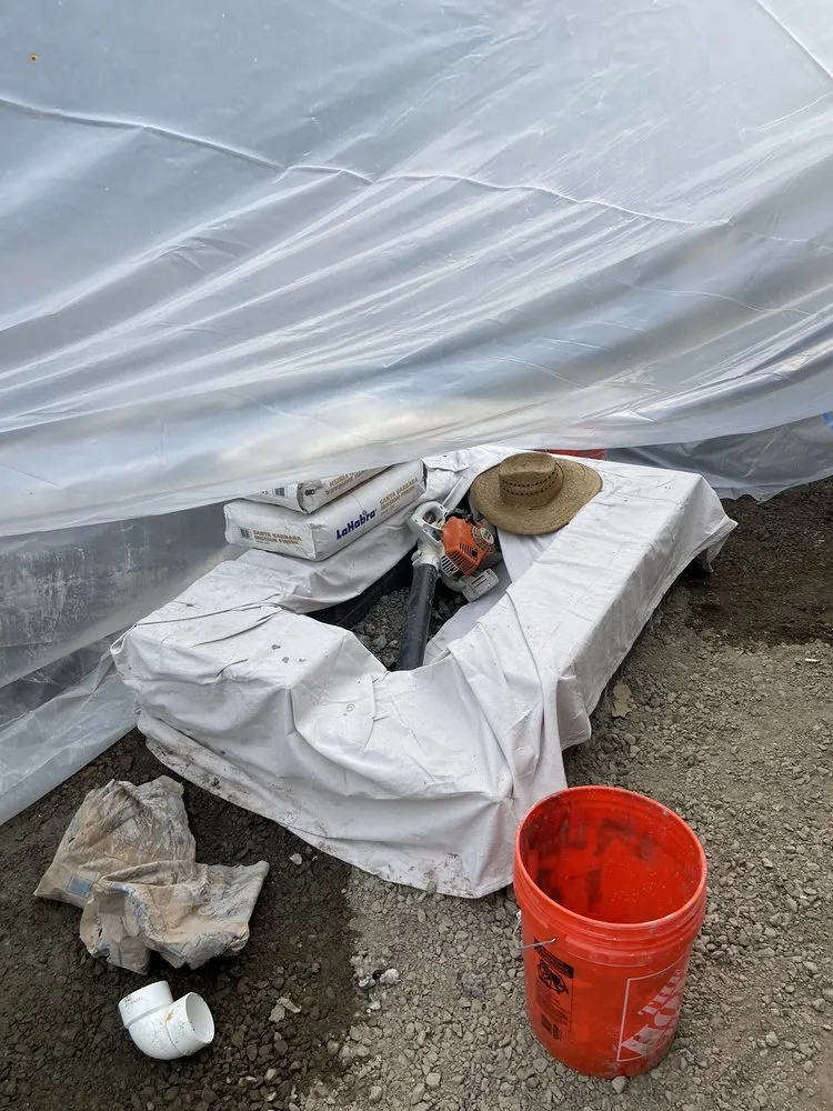 Affordable yard cleanup service in Orange, CA by Don Williams Landscape & Trees