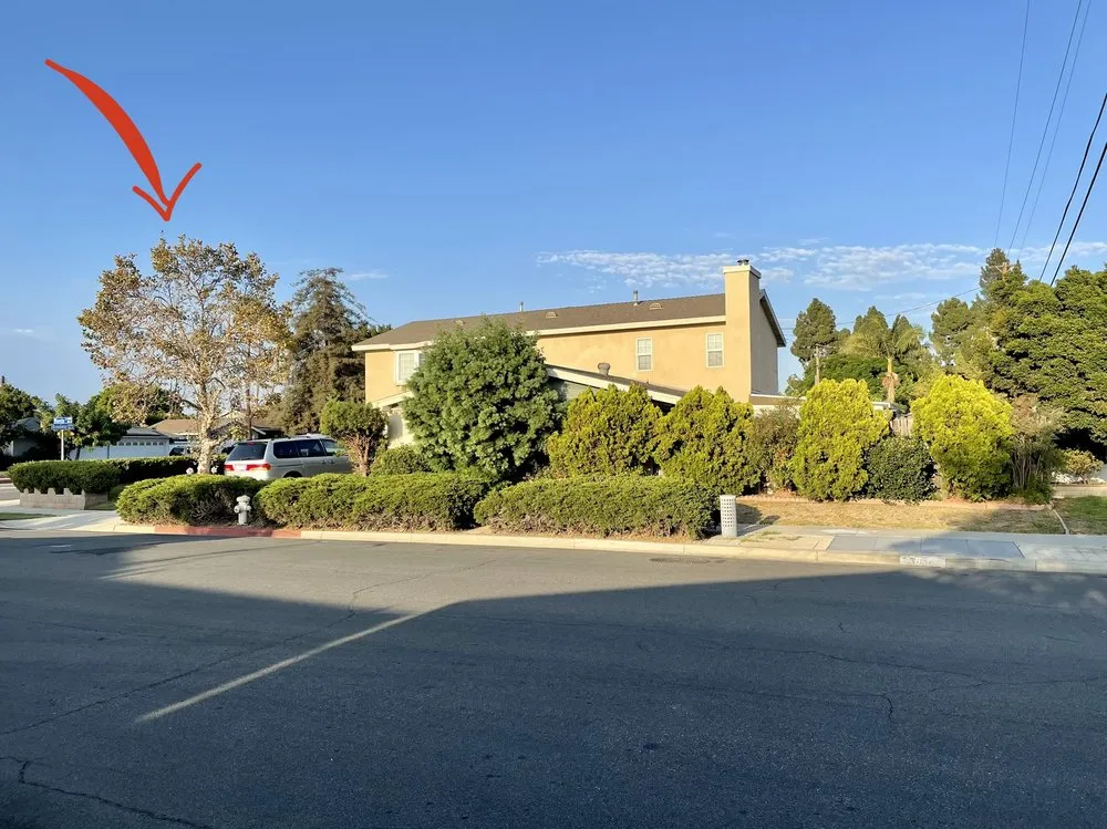 Reliable outdoor landscaping experts serving Orange, CA - Don Williams Landscape & Trees