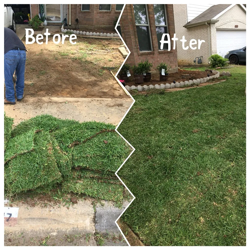Expert landscape design in Garland, TX - Don Yardas Landscaping & Lawn Maintenance Services