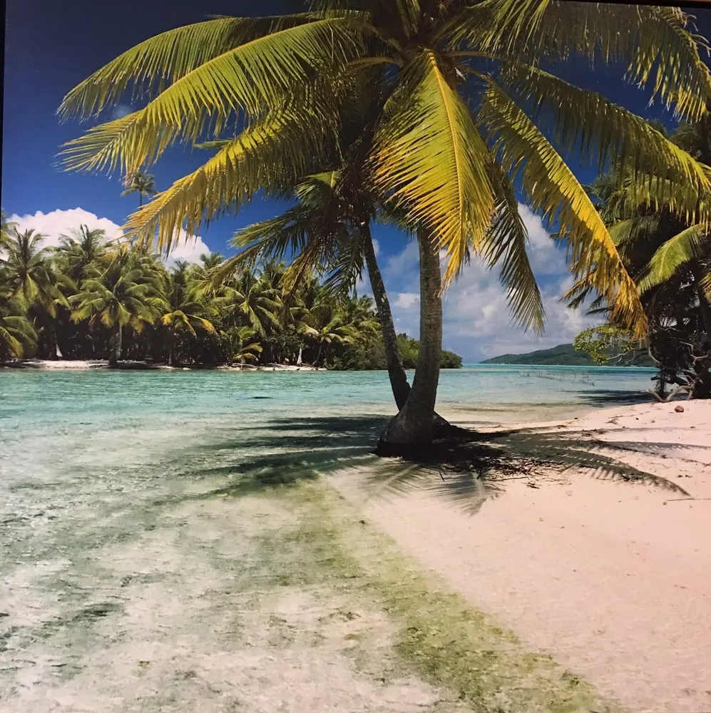 Custom outdoor landscaping in Bradenton, FL by Dona Lawn Services