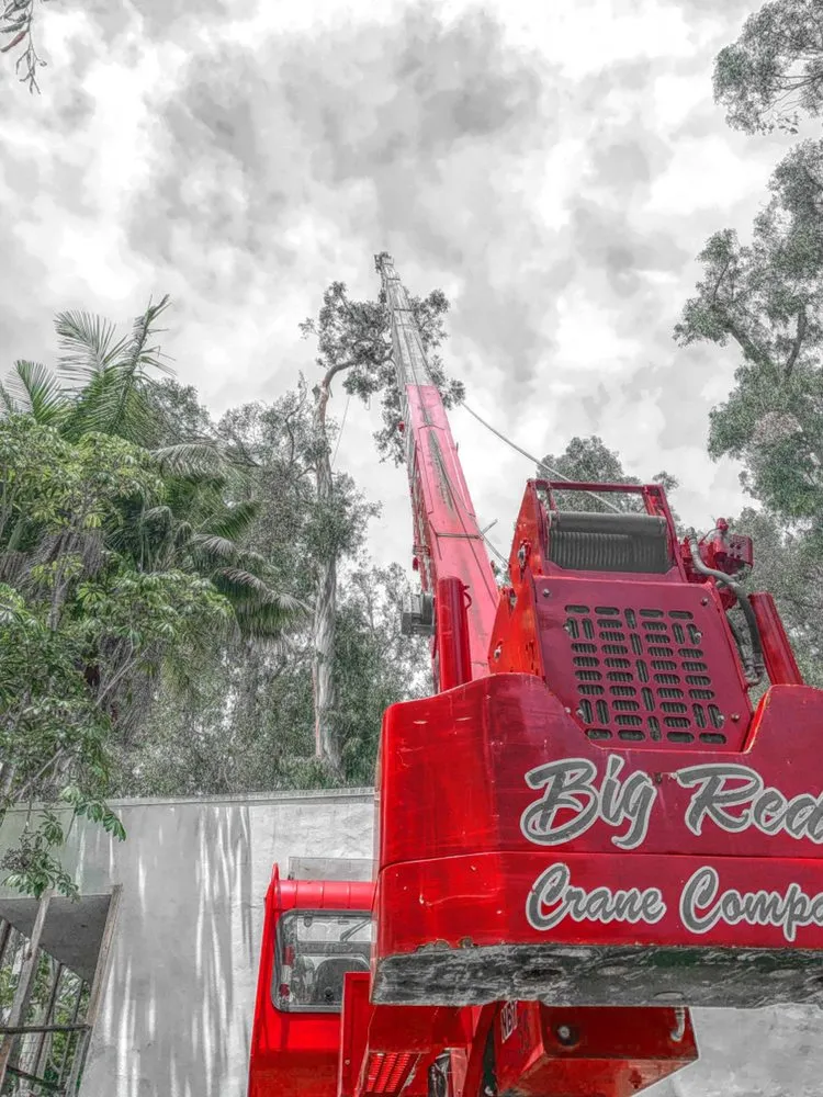 Reliable landscaping services in Honolulu, HI by Donahue Arborists