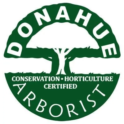 Top-rated lawn mowing service in Honolulu, HI by Donahue Arborists