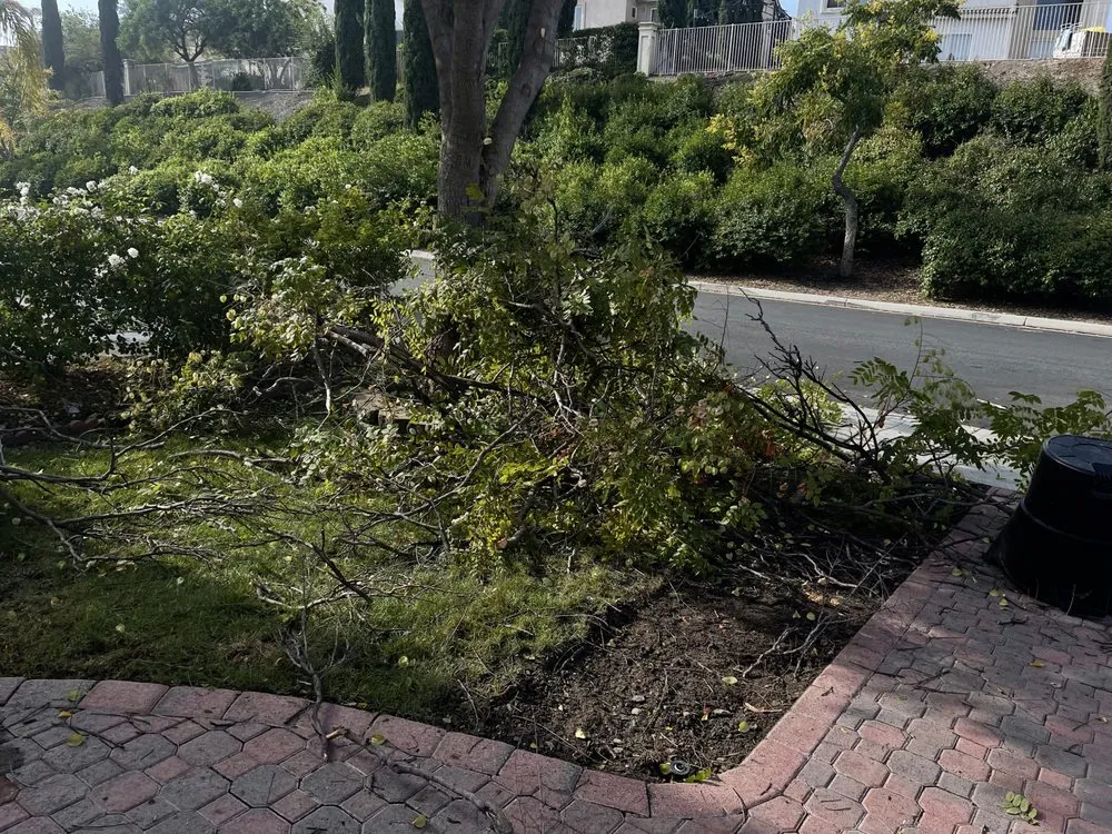 Reliable lawn mowing service near you across Lake Elsinore, CA - Donal landscape