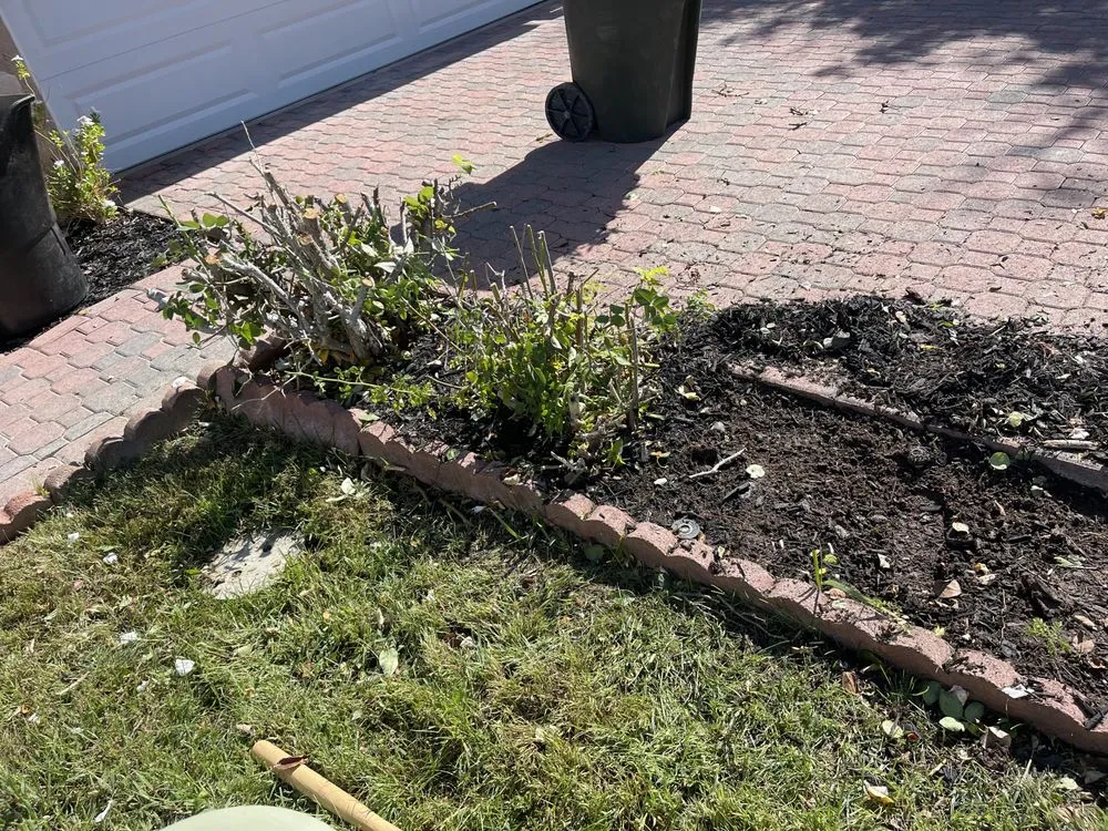 Reliable landscaping services experts serving Lake Elsinore, CA - Donal landscape