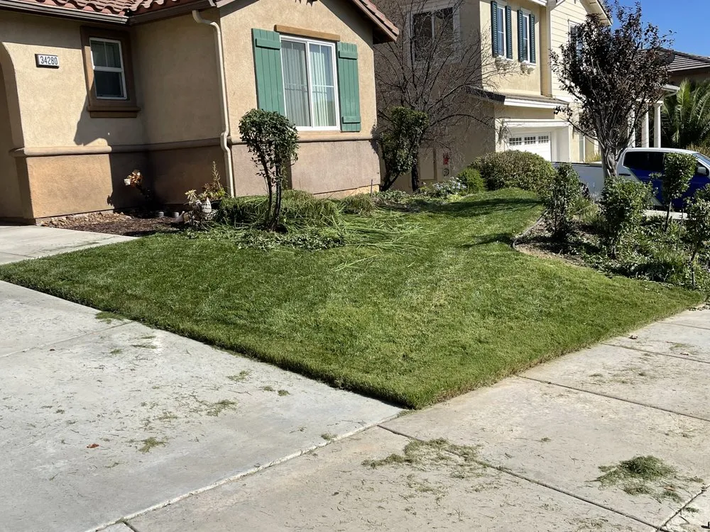 Expert yard cleanup service for residential properties in Lake Elsinore, CA by Donal landscape