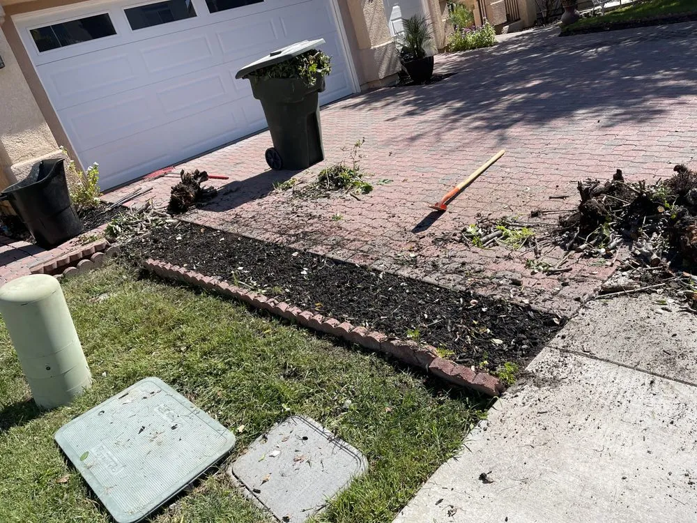 Professional yard maintenance in Lake Elsinore, CA - Donal landscape