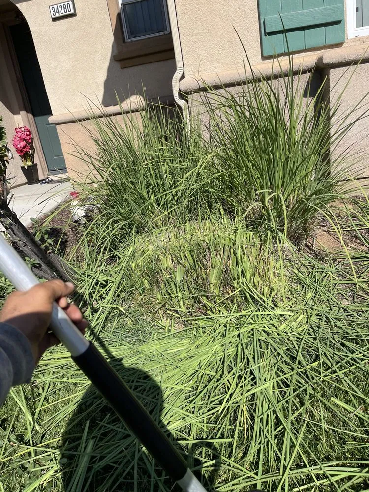 Affordable landscape design experts serving Lake Elsinore, CA - Donal landscape