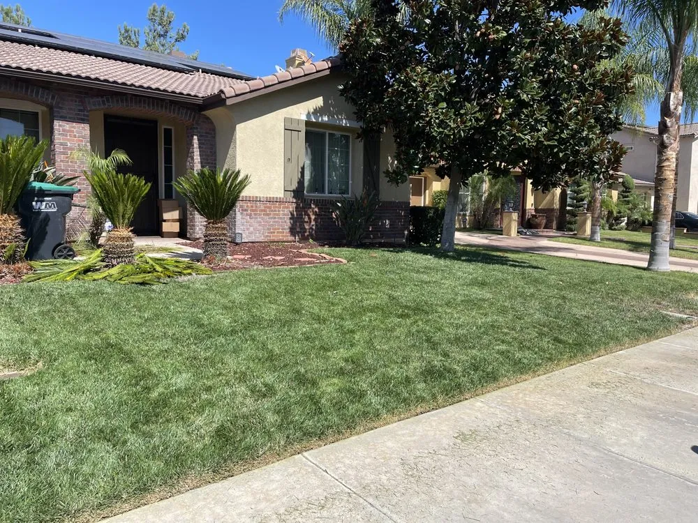 Professional outdoor landscaping for outdoor upgrades across Lake Elsinore, CA - Donal landscape