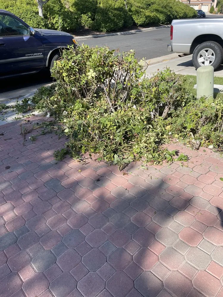 Professional lawn mowing service for residential properties in Lake Elsinore, CA by Donal landscape