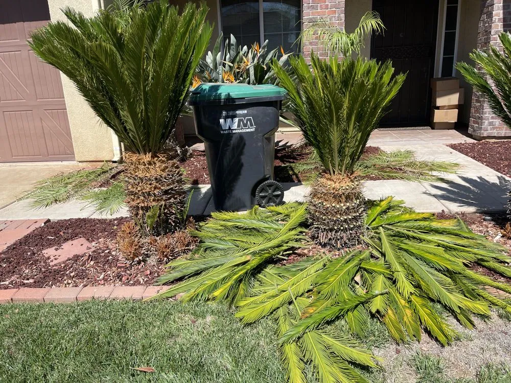 Professional yard cleanup service with custom design across Lake Elsinore, CA - Donal landscape