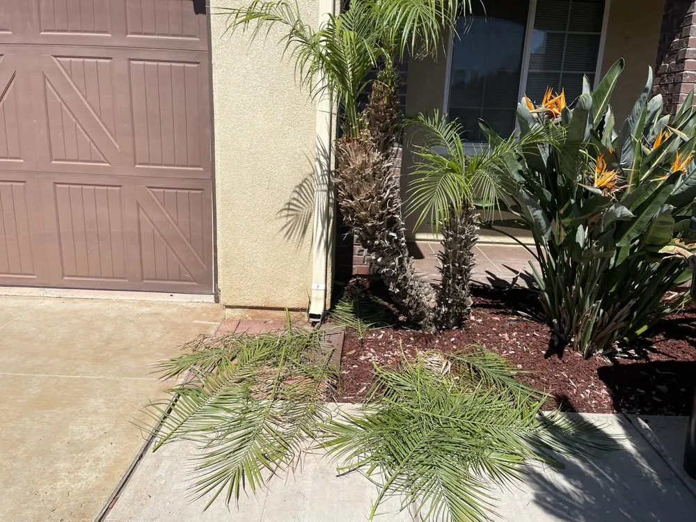 Trusted outdoor landscaping for beautiful yards across Lake Elsinore, CA - Donal landscape