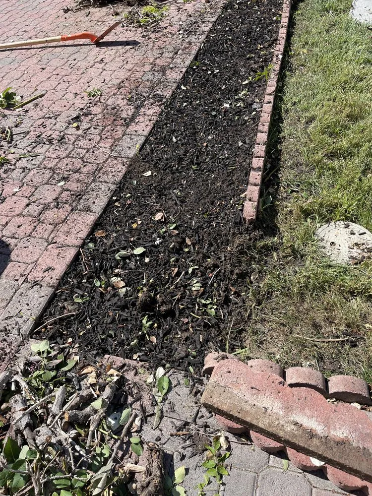 Professional landscape installation in Lake Elsinore, CA - Donal landscape