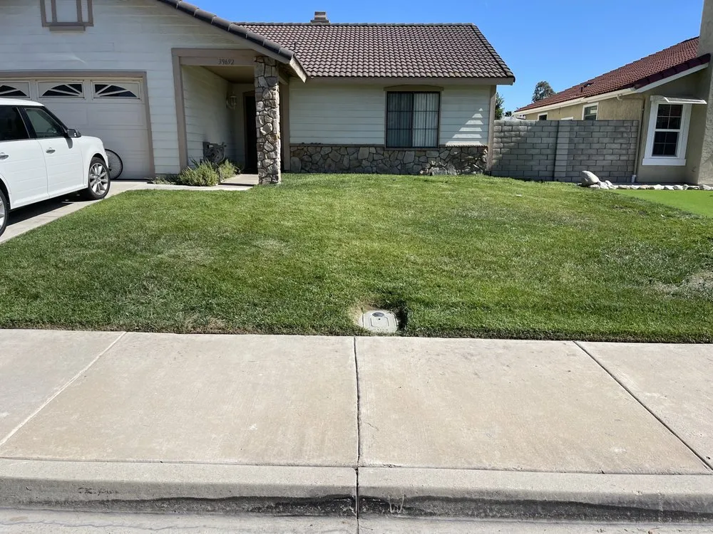Reliable yard cleanup service experts serving Lake Elsinore, CA - Donal landscape