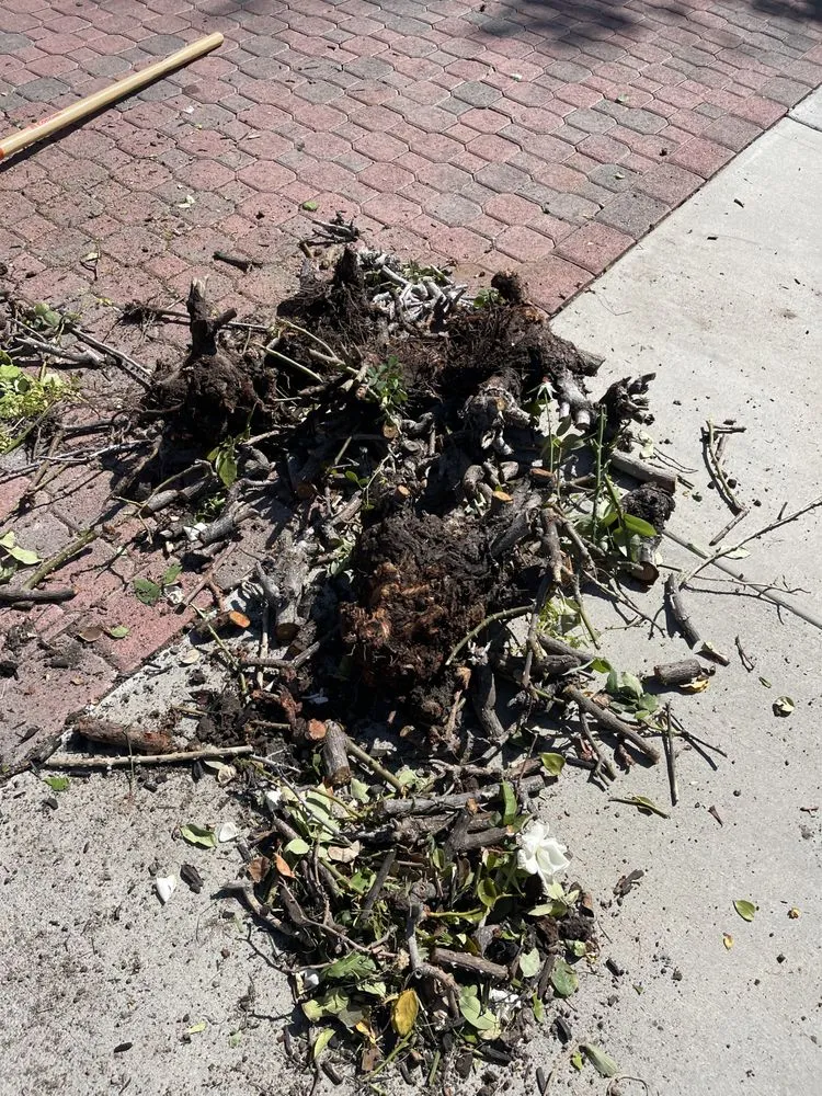 Top-rated outdoor landscaping near you in Lake Elsinore, CA by Donal landscape