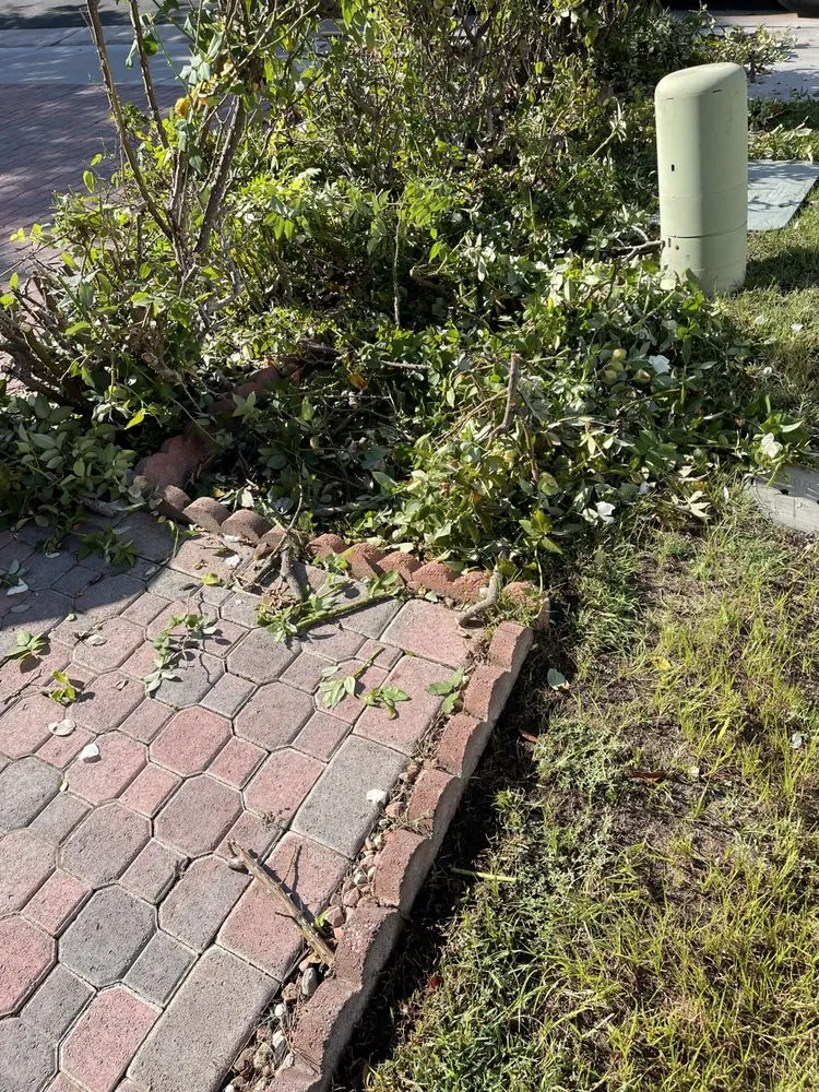 Reliable lawn mowing service near you in Lake Elsinore, CA by Donal landscape