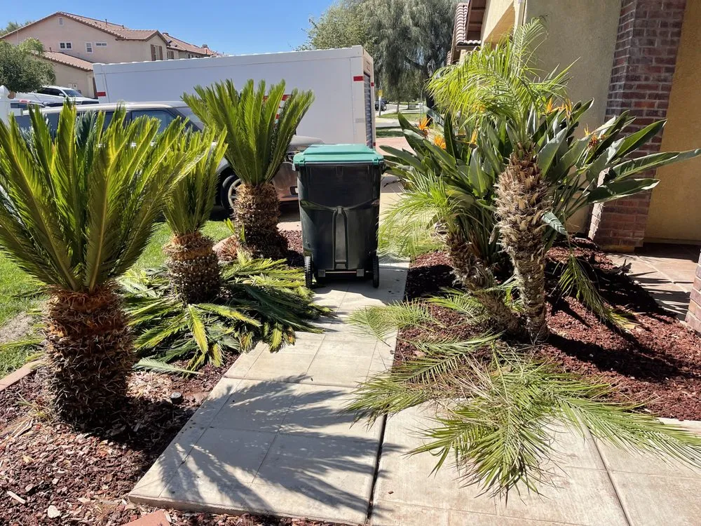 Custom landscaping services in Lake Elsinore, CA - Donal landscape