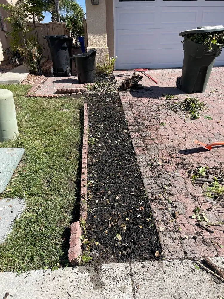 Custom residential landscaping for outdoor upgrades in Lake Elsinore, CA by Donal landscape
