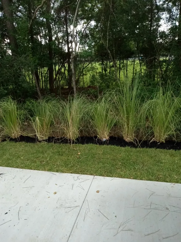 Expert residential landscaping in Tickfaw, LA by Donald and Sons Lawn Services