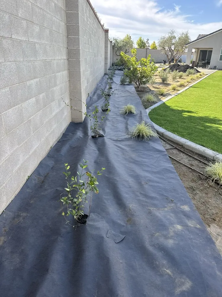 Top-rated yard maintenance for year-round maintenance across Bakersfield, CA - Donaldo Mejia