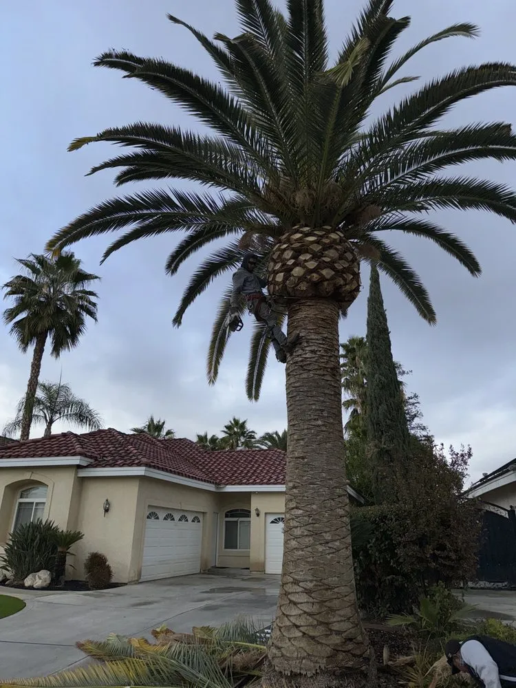 Professional residential landscaping for residential properties across Bakersfield, CA - Donaldo Mejia