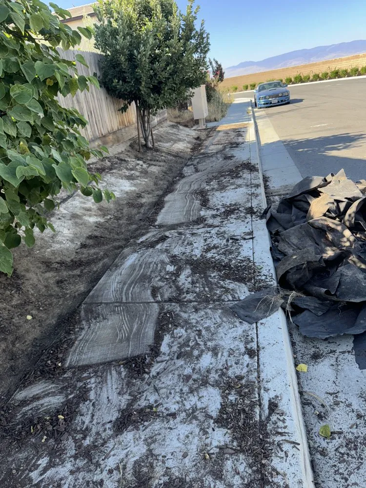 Trusted yard cleanup service experts serving Bakersfield, CA - Donaldo Mejia