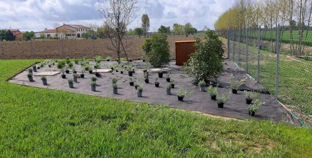 Custom landscape installation experts serving Baldwinsville, NY - Donaldson & Sons