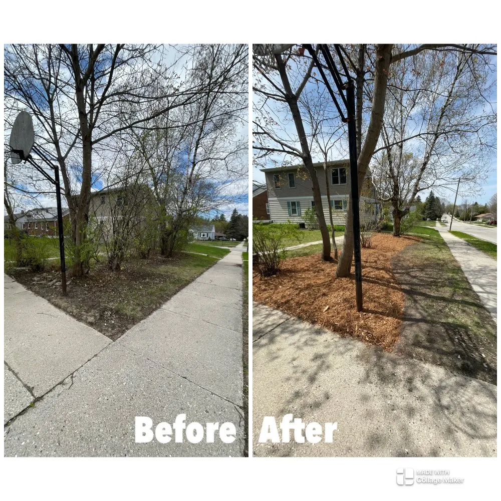 Trusted yard cleanup service in West Bend, WI - Donath Landscaping Solutions