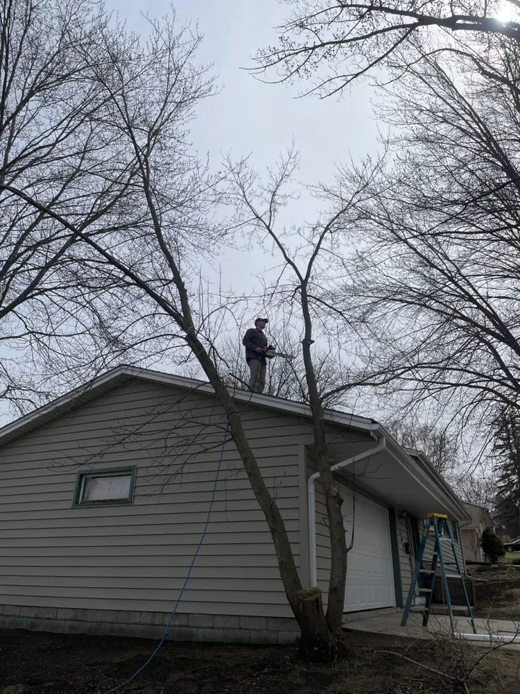 Affordable yard cleanup service in West Bend, WI by Donath Landscaping Solutions