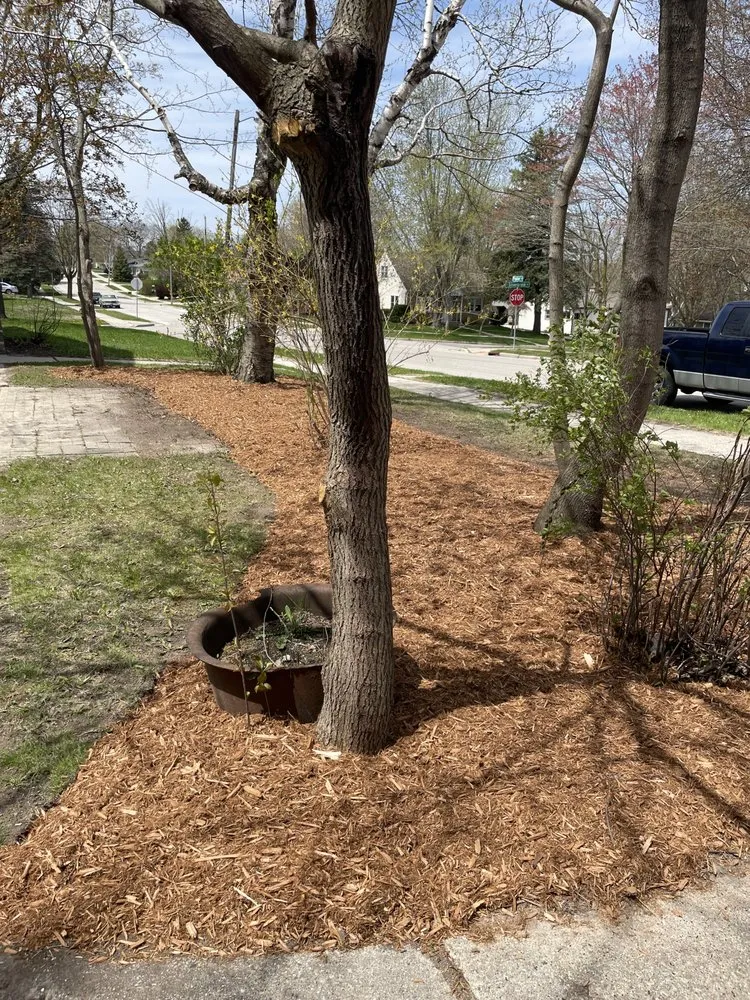 Trusted yard cleanup service for residential properties in West Bend, WI by Donath Landscaping Solutions