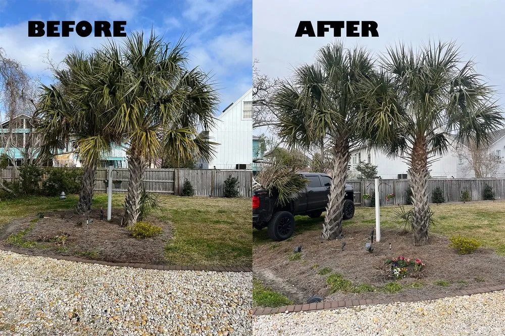 Affordable yard cleanup service for homes across Wilmington, NC - Donathan Landscaping and Hauling