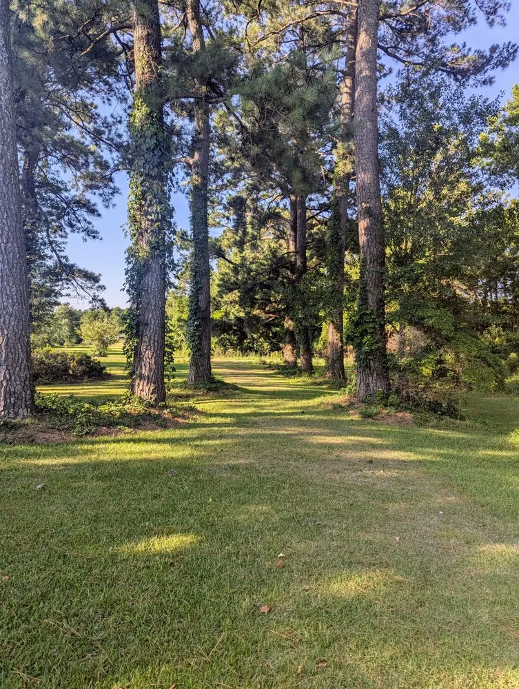 Custom garden landscaping for beautiful yards across Wilmington, NC - Donathan Landscaping and Hauling