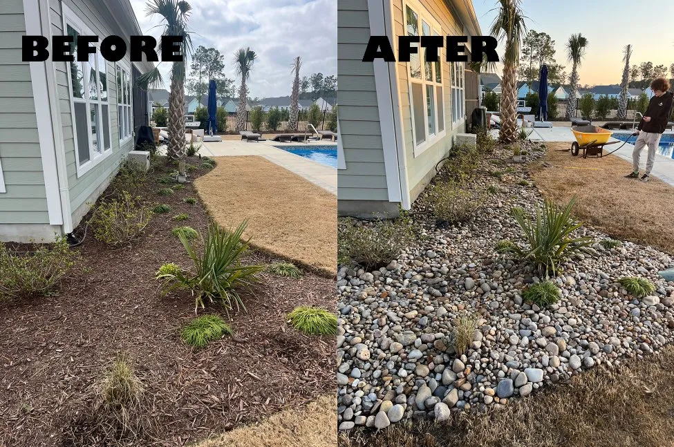 Reliable lawn care service for year-round maintenance in Wilmington, NC by Donathan Landscaping and Hauling