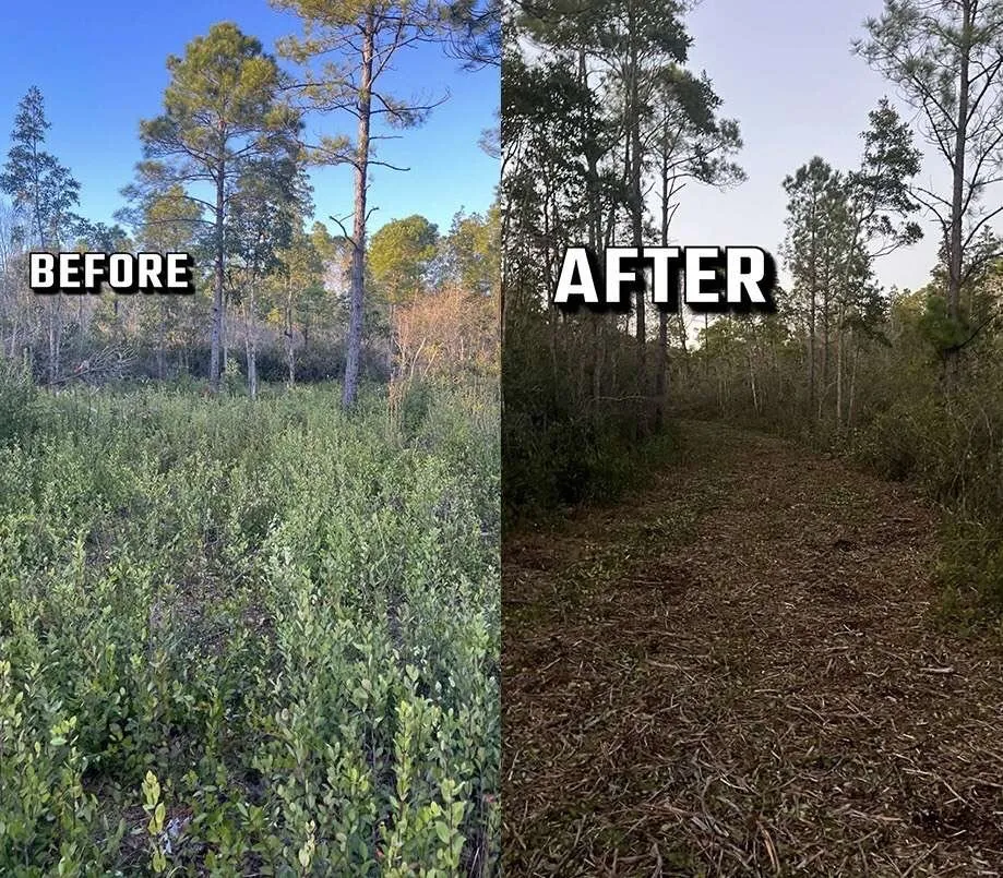 Trusted landscaping services for beautiful yards in Wilmington, NC by Donathan Landscaping and Hauling